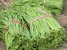 Asparagus Beans